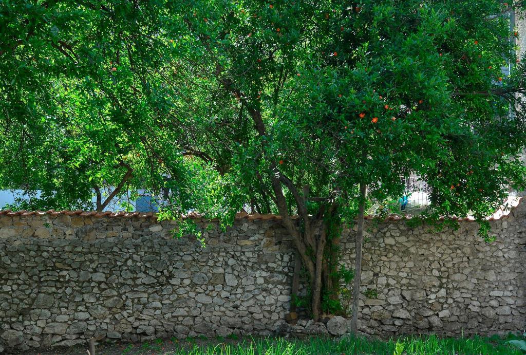 Hostel Bojo Mostar Exterior photo